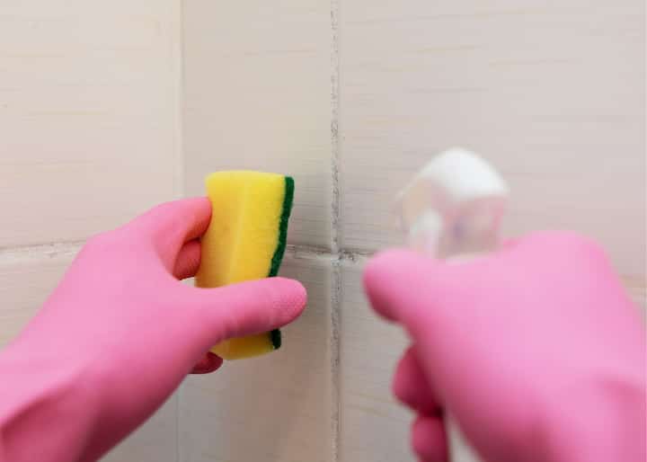 mold removal richmond va