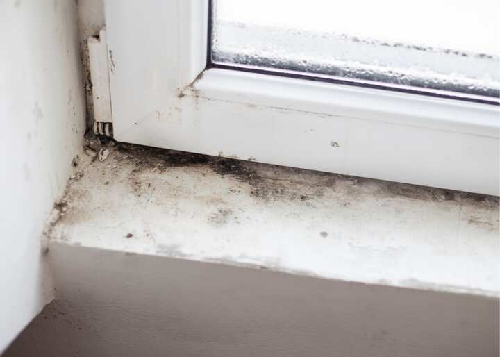 mold remediation richmond va