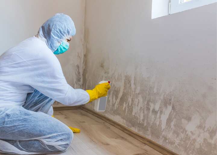 mold removal richmond va
