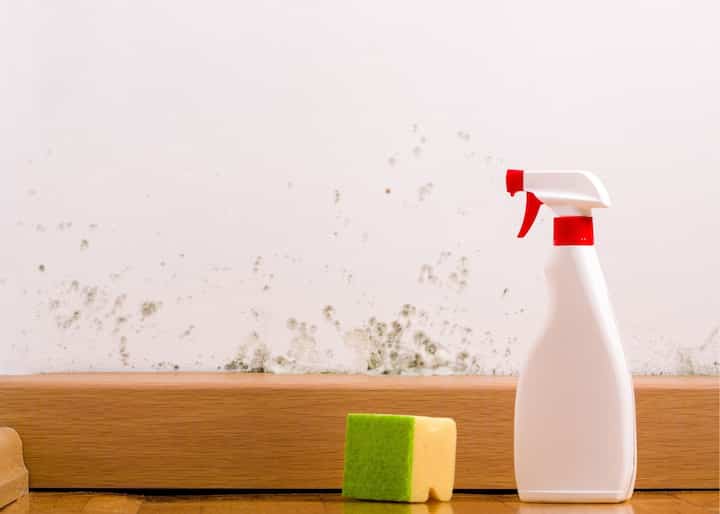 mold remediation richmond va