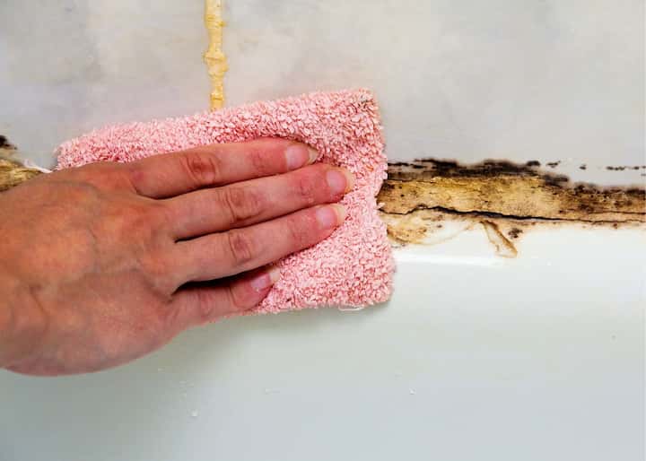 mold remediation richmond va
