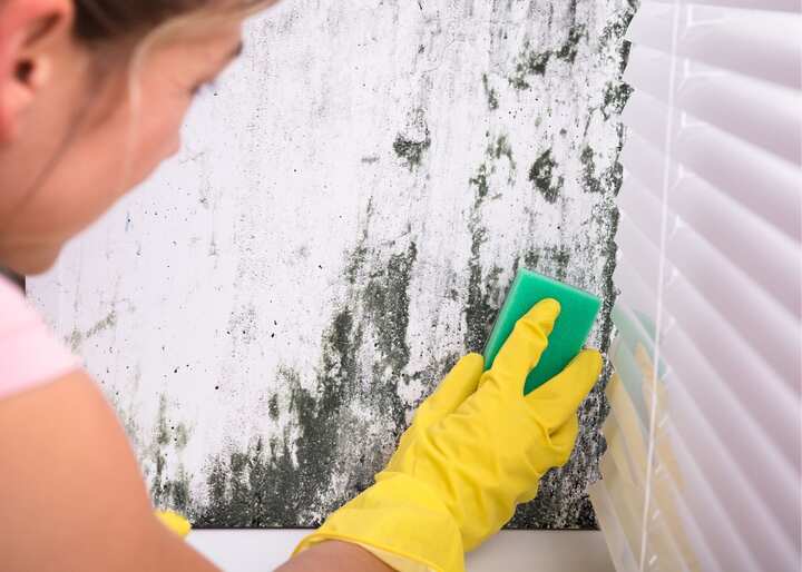 mold remediation richmond va