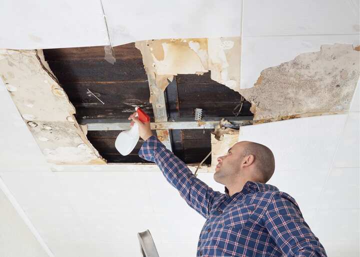 mold remediation richmond va