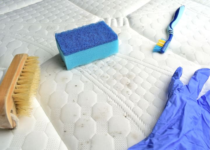mold removal richmond va