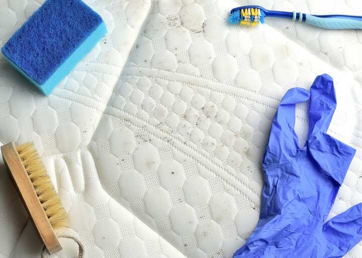 mold removal richmond va