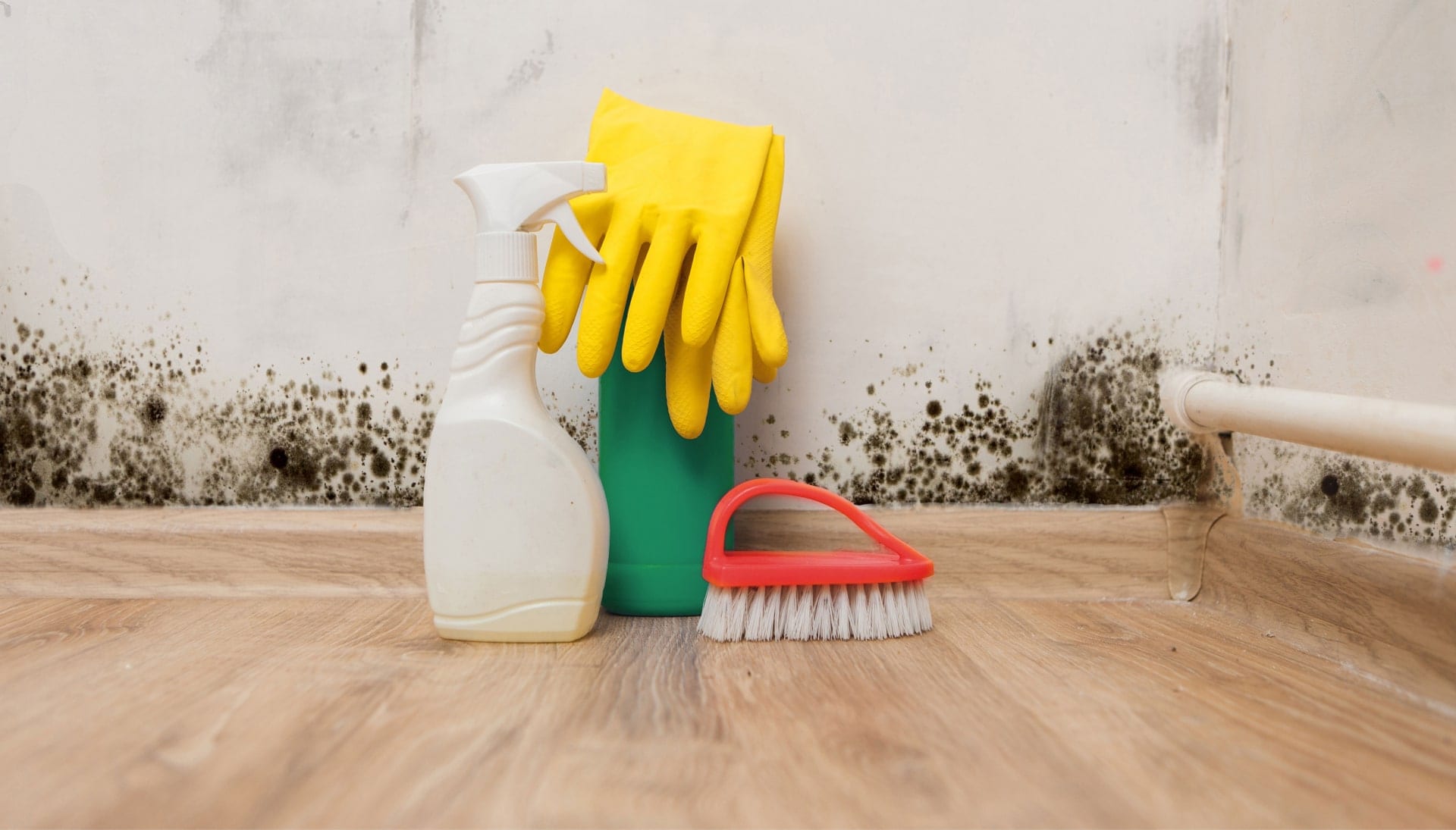 Know About Mold Removal In Richmond