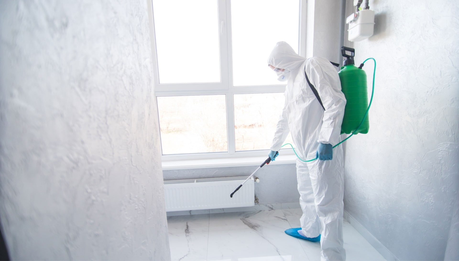 Mold Inspection Services in Richmond